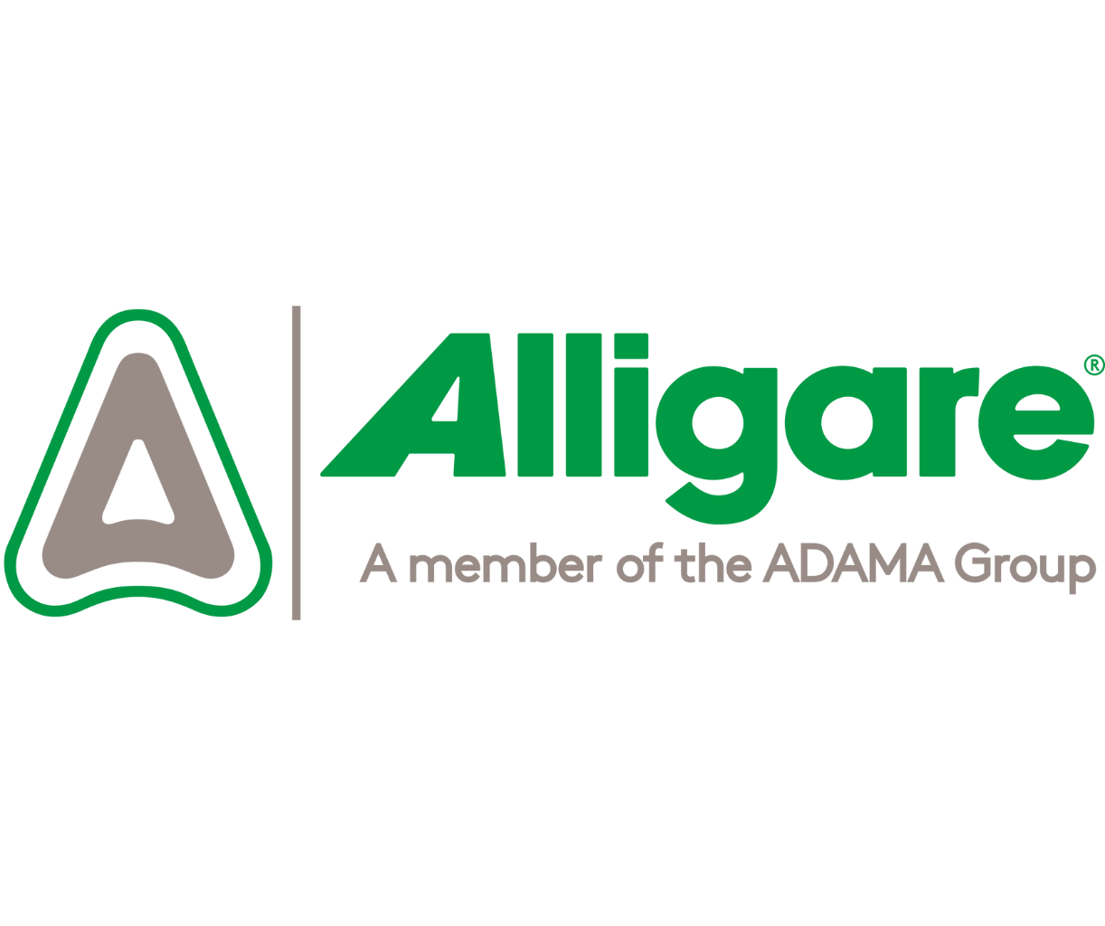 Alligare